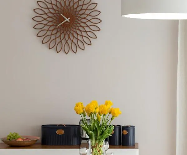 Sunny By Renters Lukecin