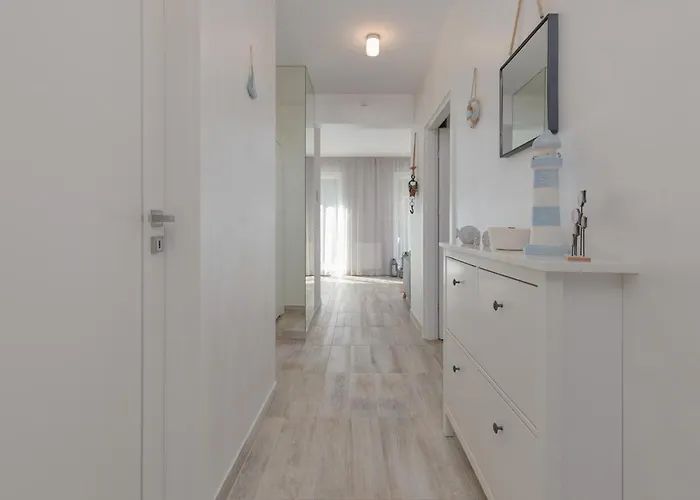 Sunny By Renters Apartment