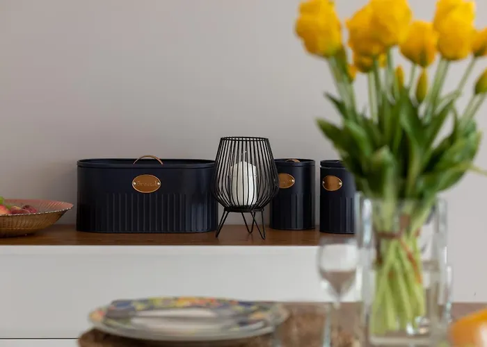 Sunny By Renters Lukecin