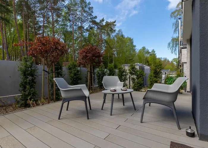 Sunny By Renters Lukecin